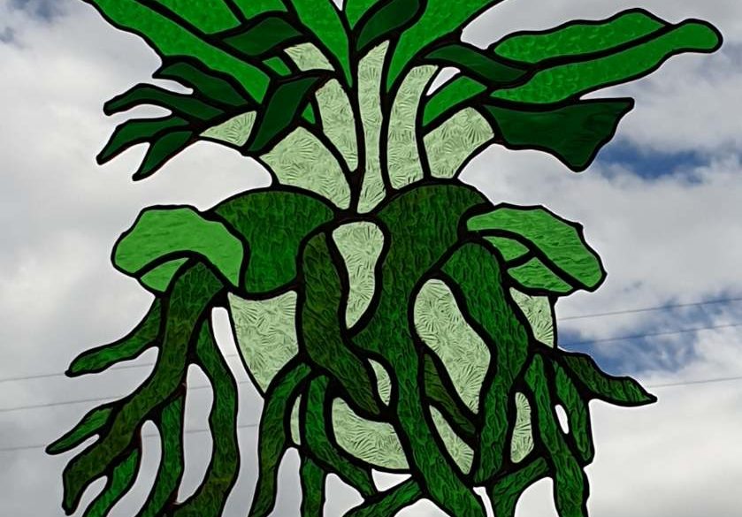 Sarah Swan  ‘Staghorn Fern’  Stained glass